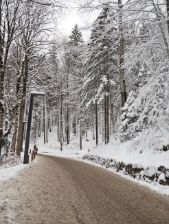 The slushy road up to Neuschwanstein